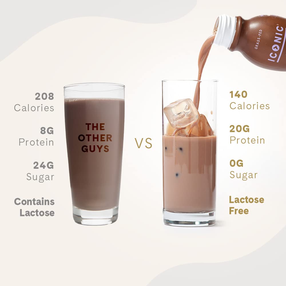 Chocolate Truffle Sugar Free Low Carb Protein Drinks 12 Pack M4937
