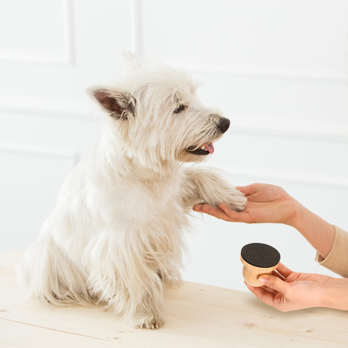 Dog Nail File with 3 Pcs Replaceable Sandpaper V225