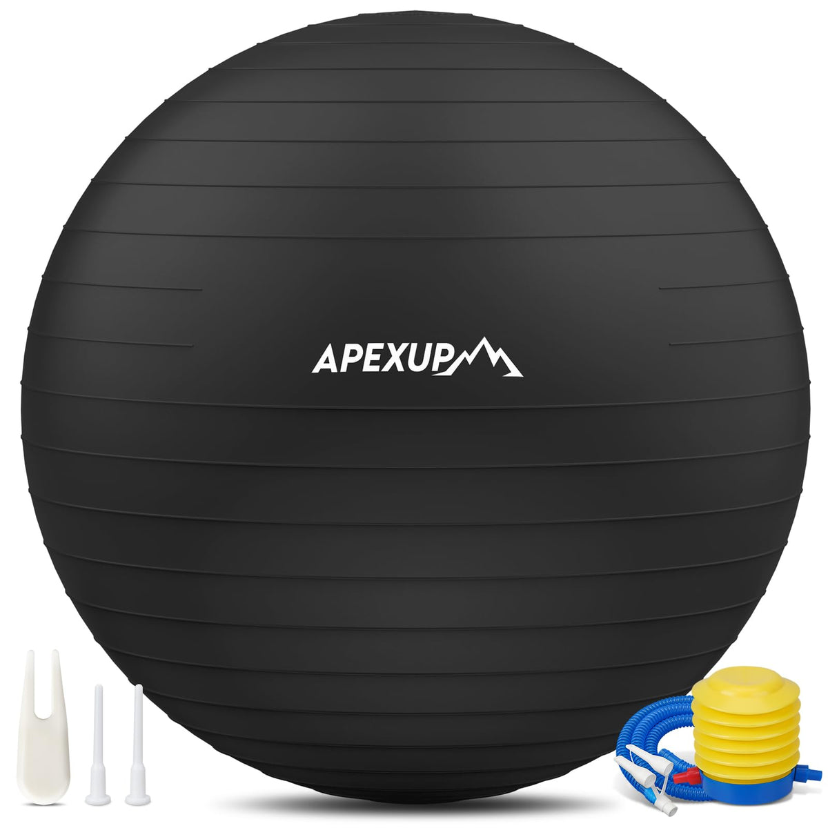 Adjustable Ankle Weights + Yoga Ball N335
