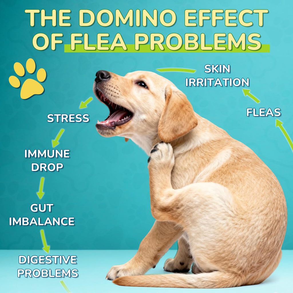 Flea and Tick Prevention Drops with Probiotics H678