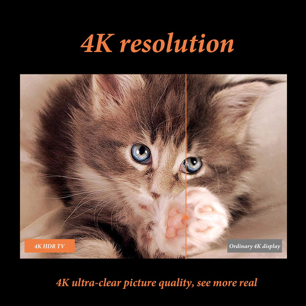 55 inch 4K Smart LED TV D3590