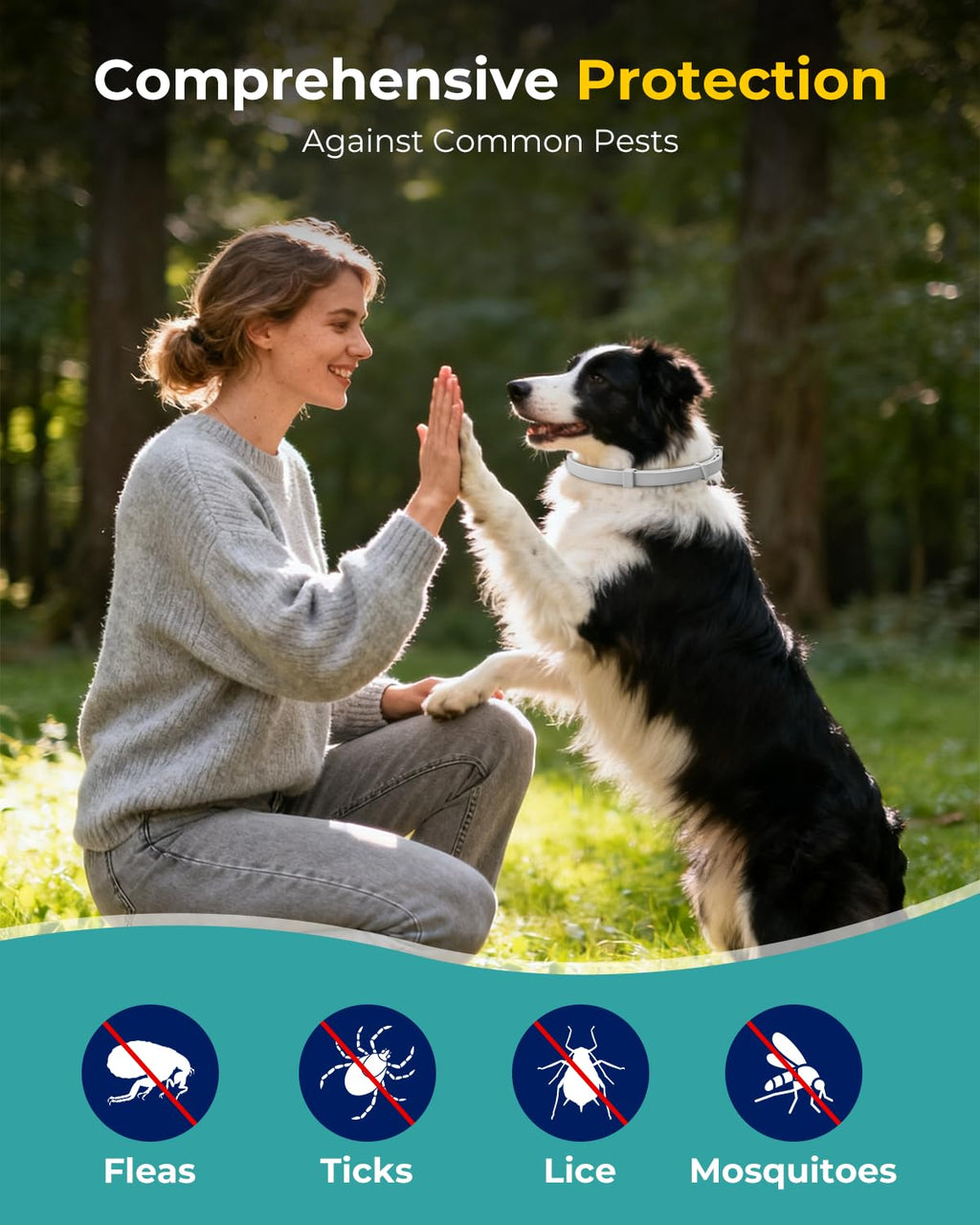 4 Pack Flea and Tick Collar for Small Dogs Under 18 lbs V830