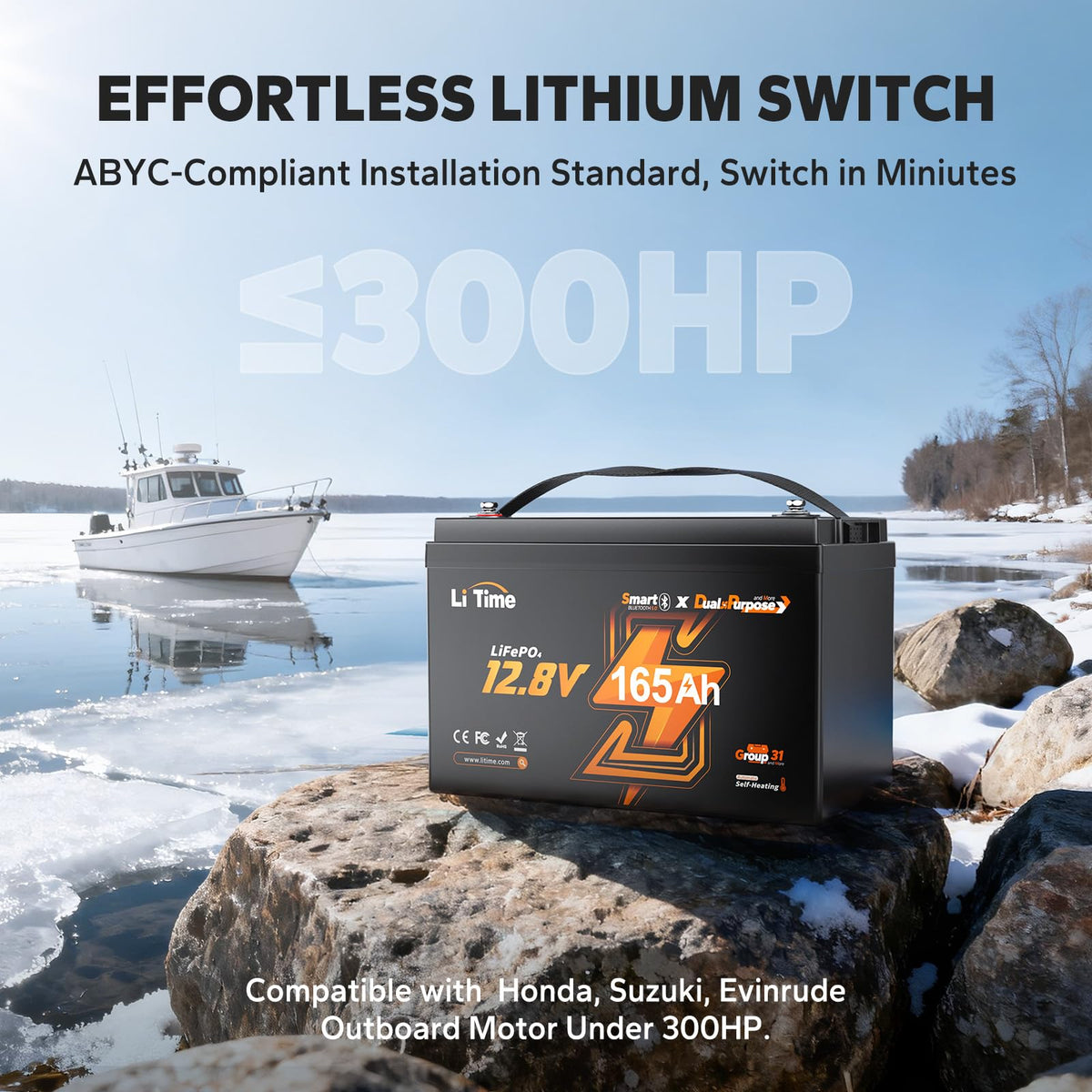 12V 165Ah Dual Purpose LiFePO4 Battery M1125