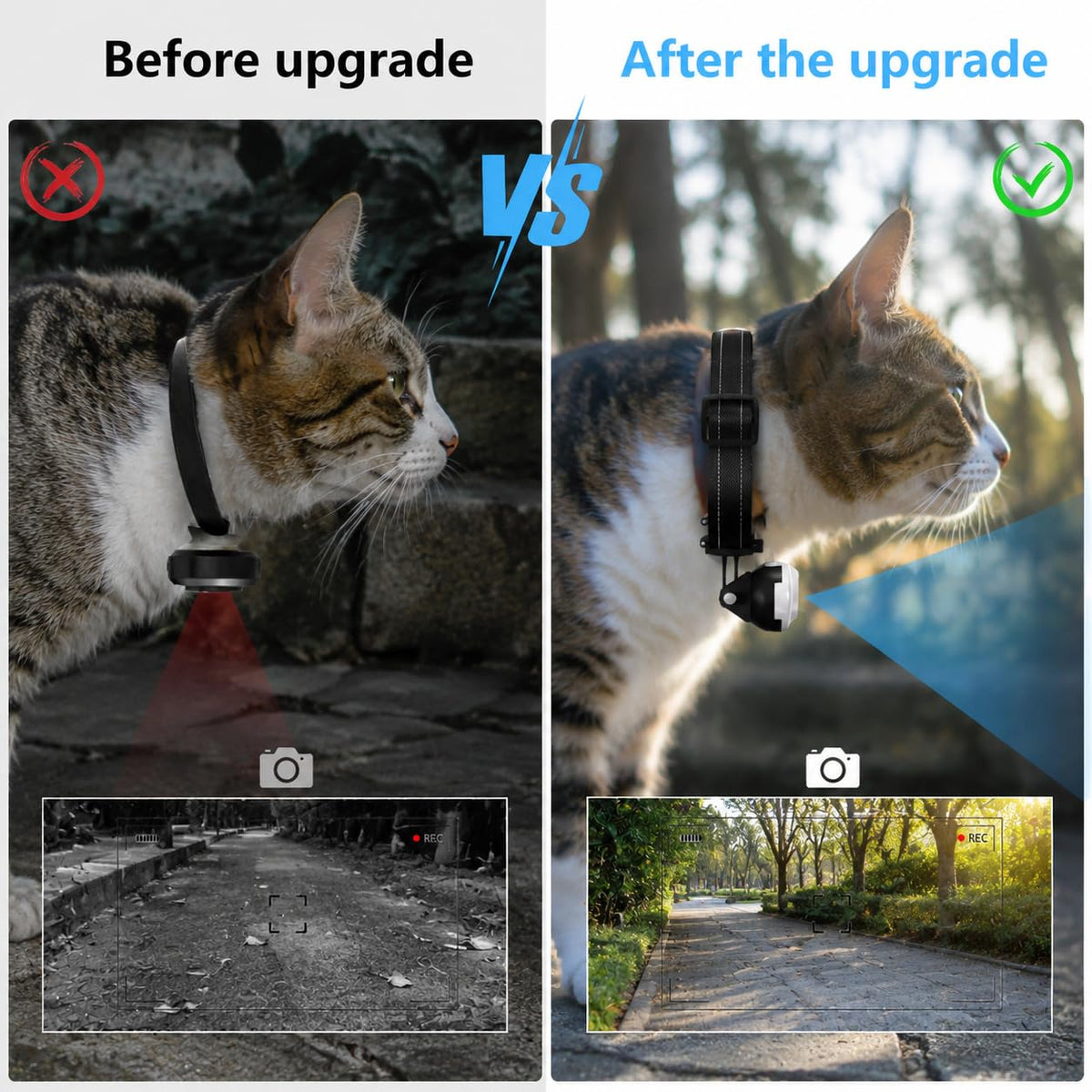 1080P Wireless Mini Pet Camera Collar H35693