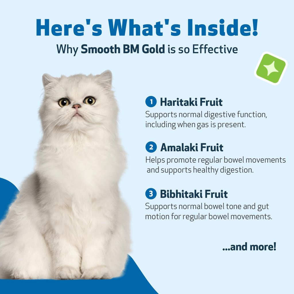 4 oz Cat Bowel Support V8136