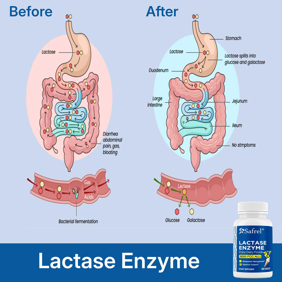Lactase Enzyme 9000 FCC Unflavored Tablets 180 Ct Y172892