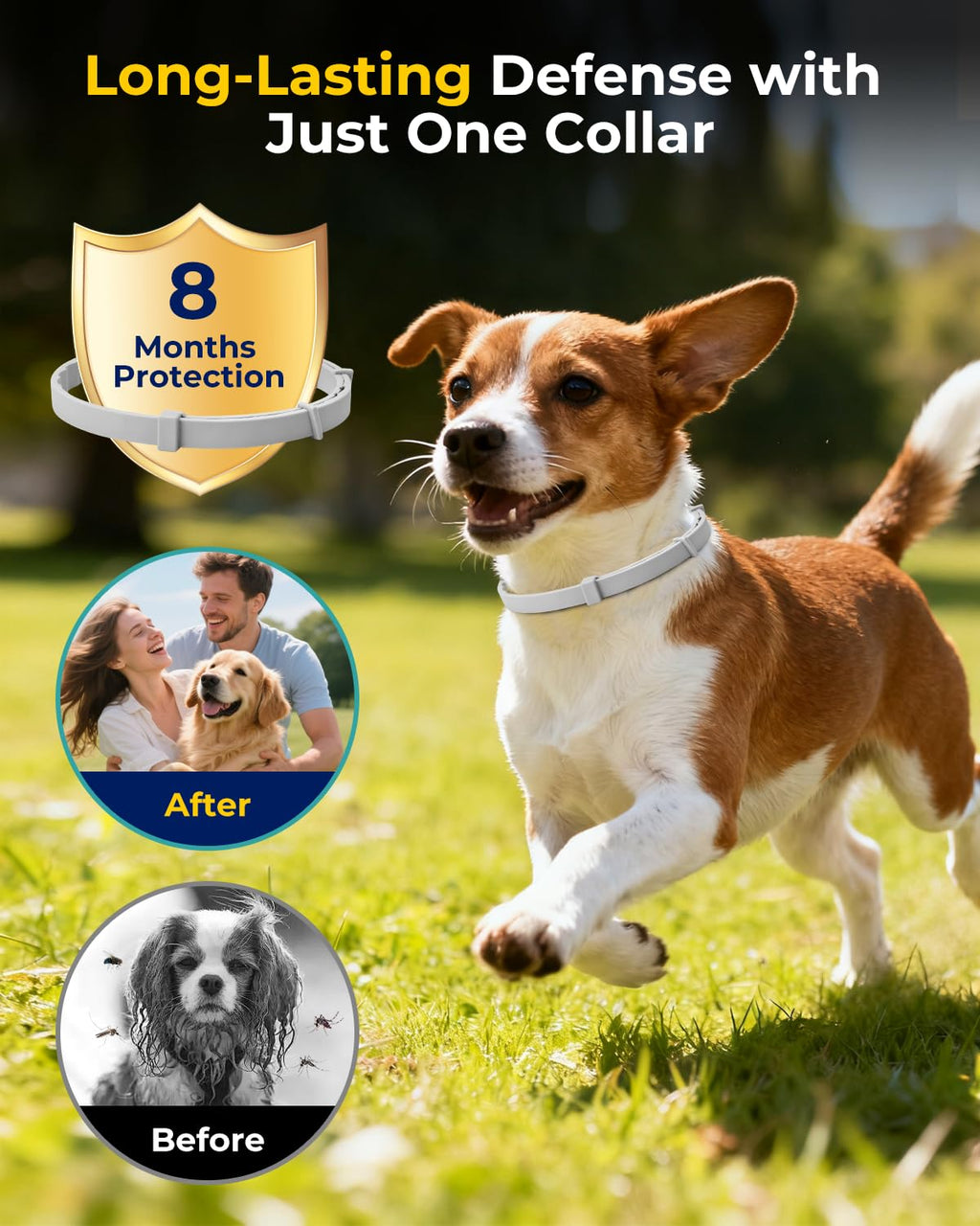 4 Pack Flea and Tick Collar for Small Dogs Under 18 lbs V830