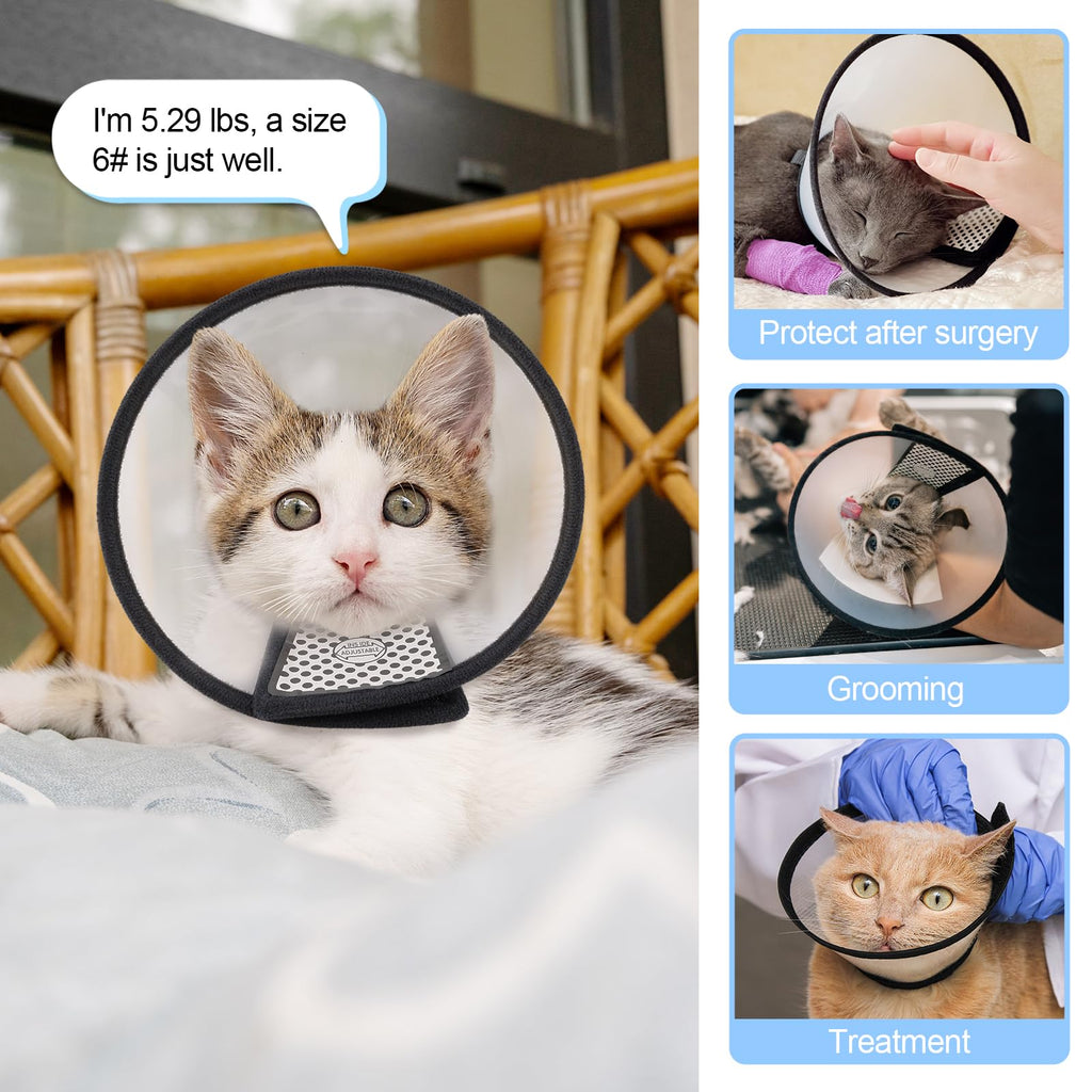 Adjustable Plastic Recovery Pet Cone B988125