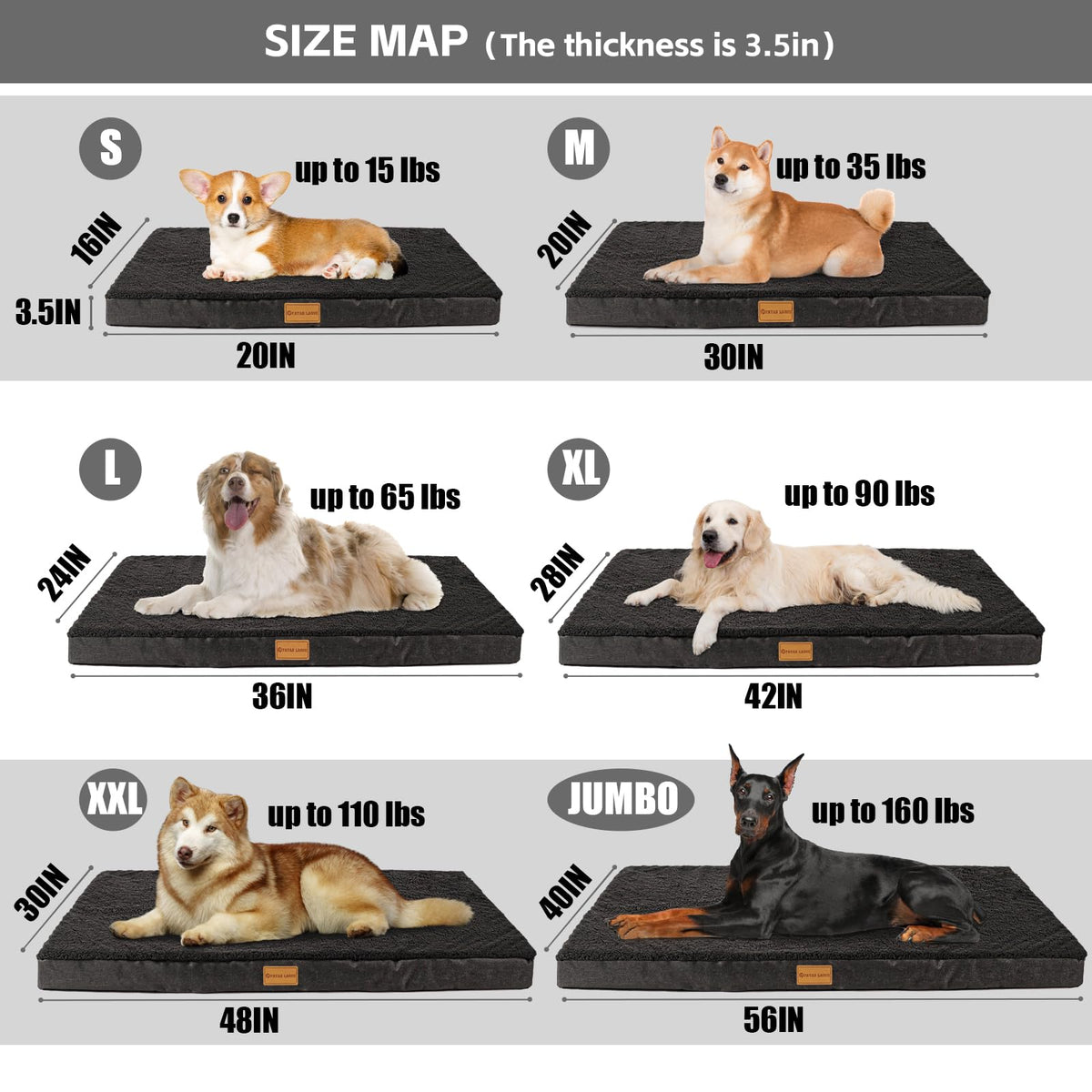 Large Washable Dog Bed 36''X24'' Black Z28222