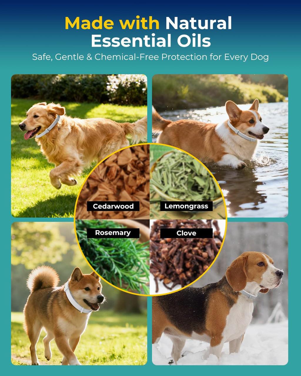 4 Pack Flea and Tick Collar for Small Dogs Under 18 lbs V830