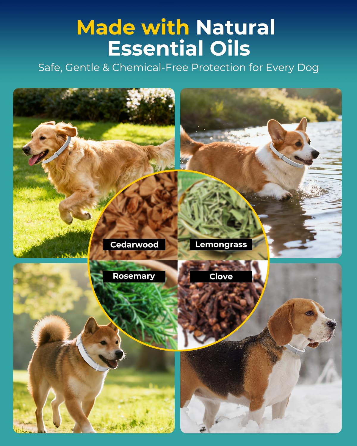 4 Pack Flea and Tick Collar for Small Dogs Under 18 lbs V830