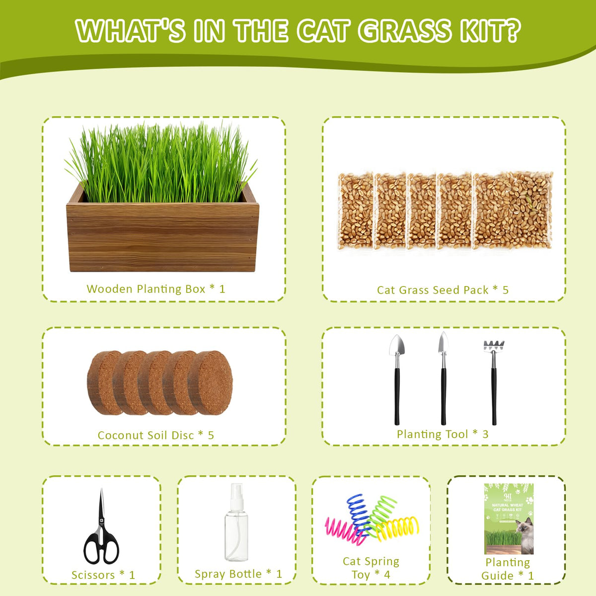 Cat Grass Kit with Wooden Planter 5 Pack G722445
