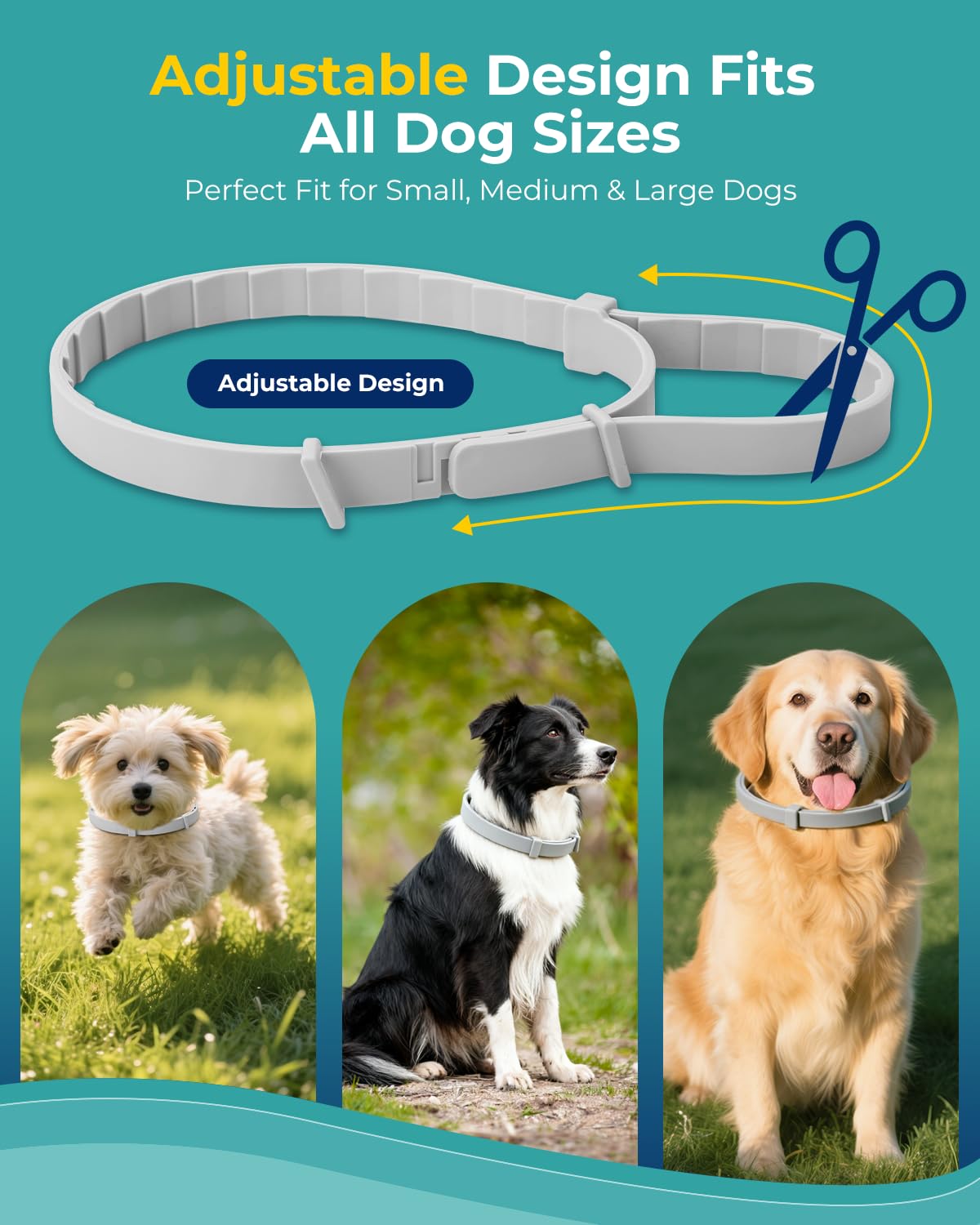 4 Pack Flea and Tick Collar for Small Dogs Under 18 lbs V830