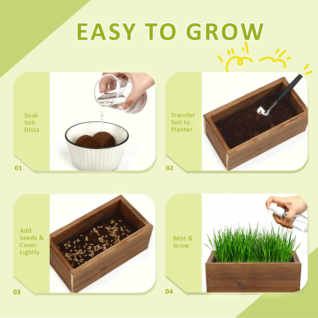 Cat Grass Kit with Wooden Planter 5 Pack G722445
