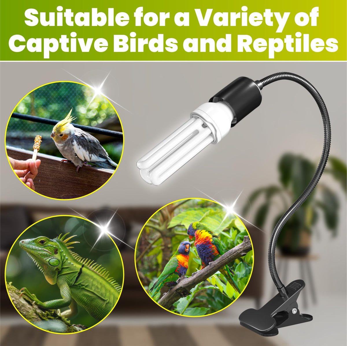 Bird Cage Lighting Combo Kit, Clip Lamp with UVB 2.4 20W Compact Fluorescent Bulb I88881