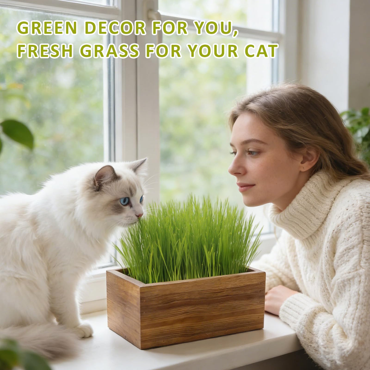 Cat Grass Kit with Wooden Planter 5 Pack G722445