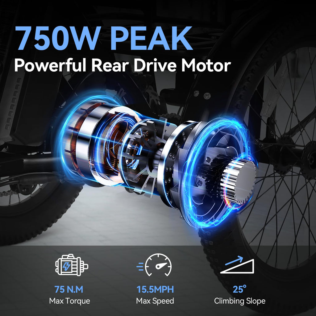 20'' Folding Electric Trike 750W 3-Wheel Bike with Removable Battery N280