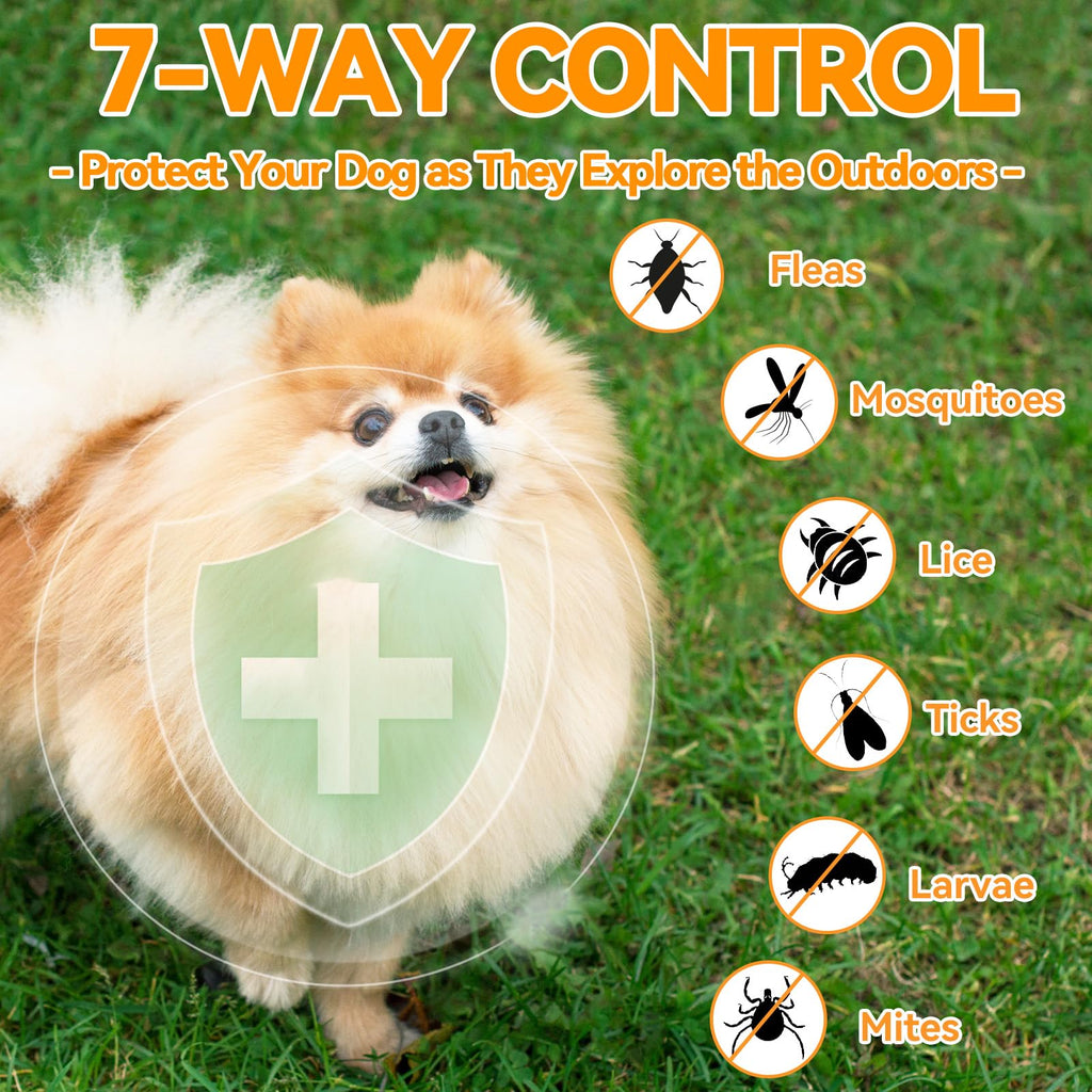 Flea and Tick Prevention for Dogs Chewables 200 Ct M327