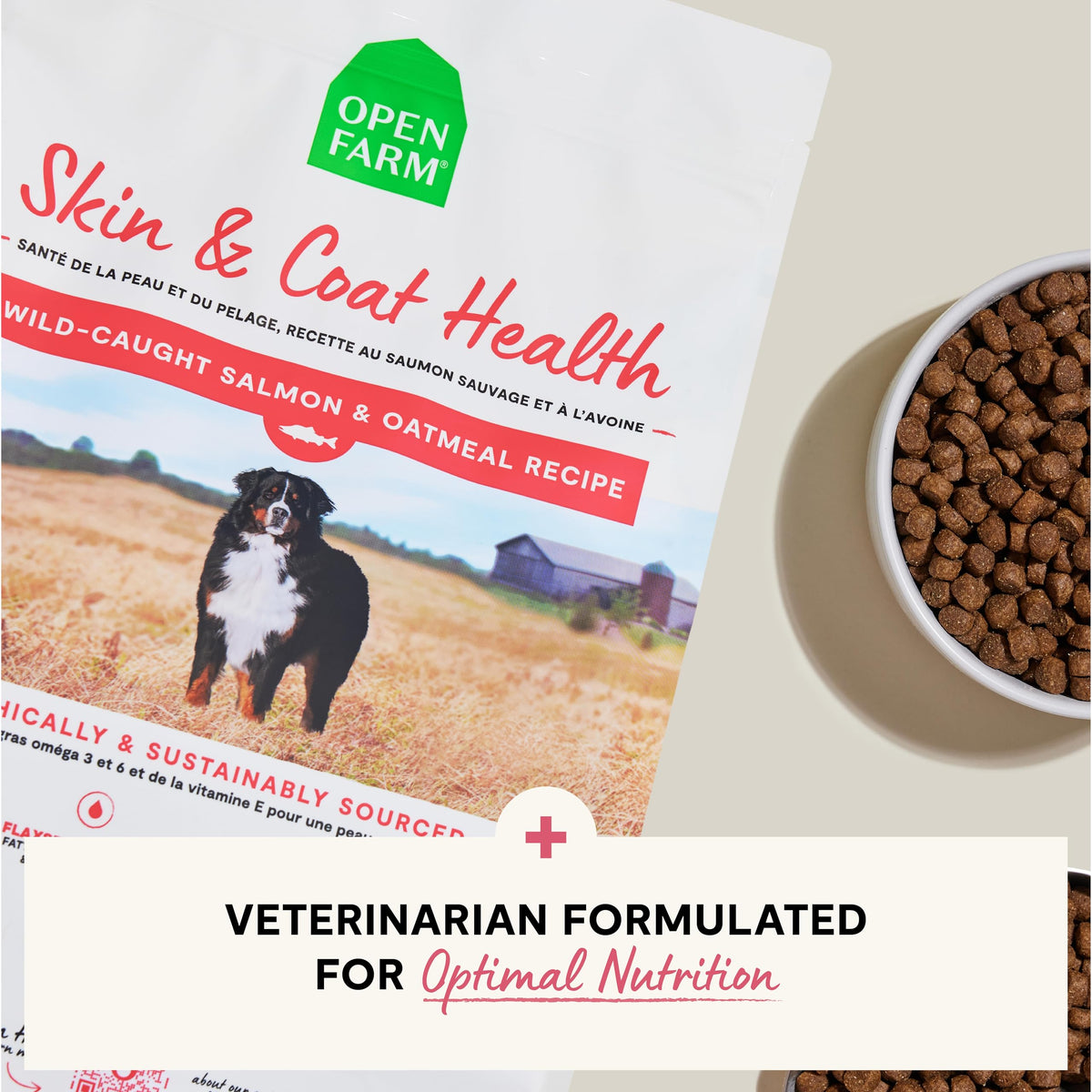Salmon & Oatmeal Dry Dog Food 4lb Bag O73460