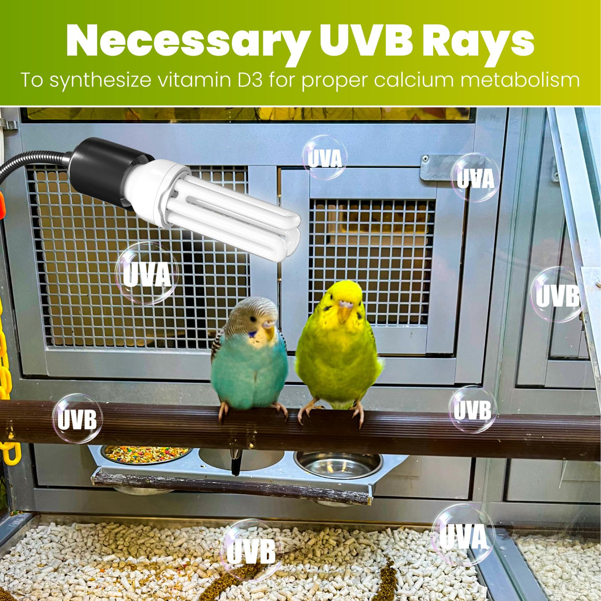 Bird Cage Lighting Combo Kit, Clip Lamp with UVB 2.4 20W Compact Fluorescent Bulb I88881
