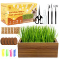 Cat Grass Kit with Wooden Planter 5 Pack G722445