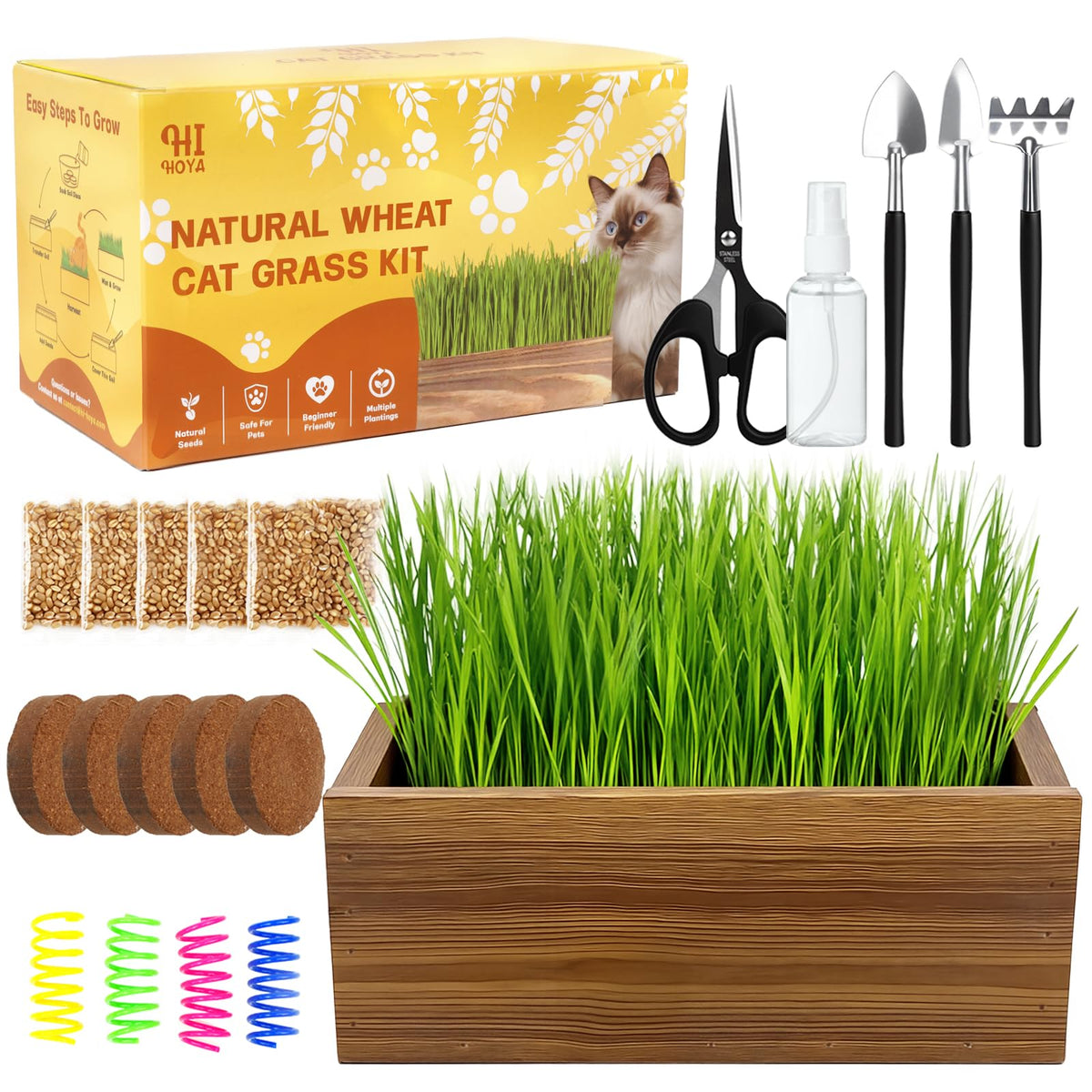 Cat Grass Kit with Wooden Planter 5 Pack G722445