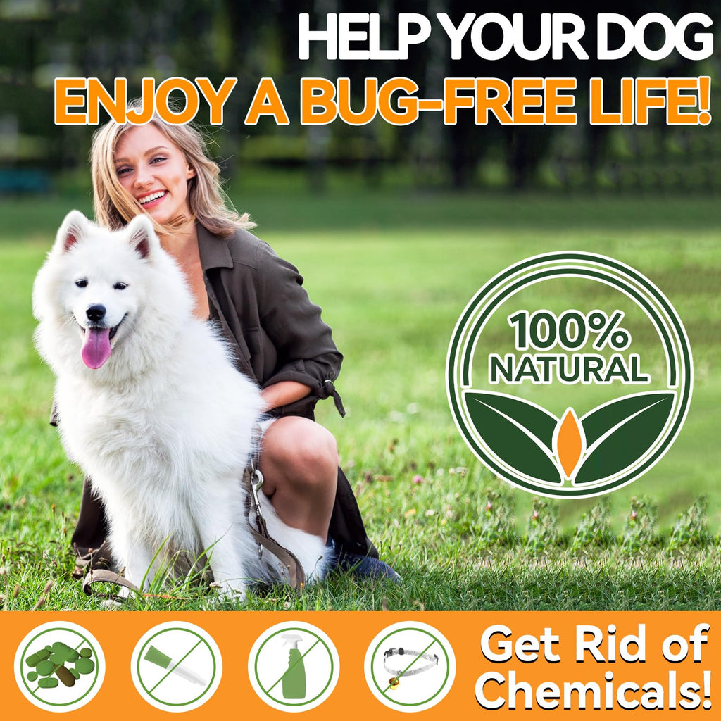 Flea and Tick Prevention for Dogs Chewables 200 Ct M327