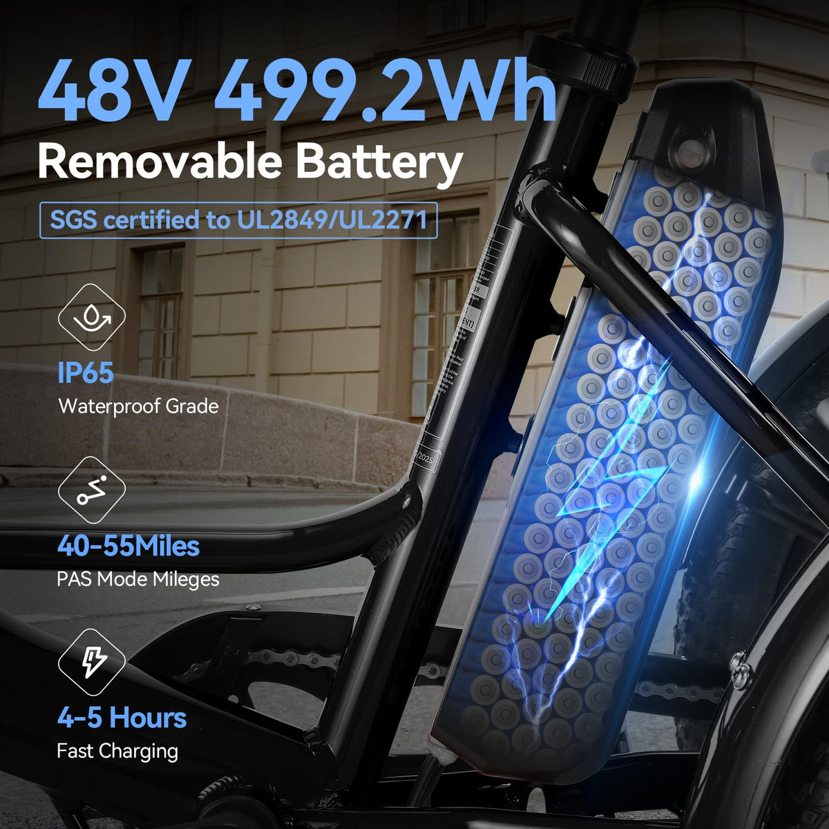 20'' Folding Electric Trike 750W 3-Wheel Bike with Removable Battery N280