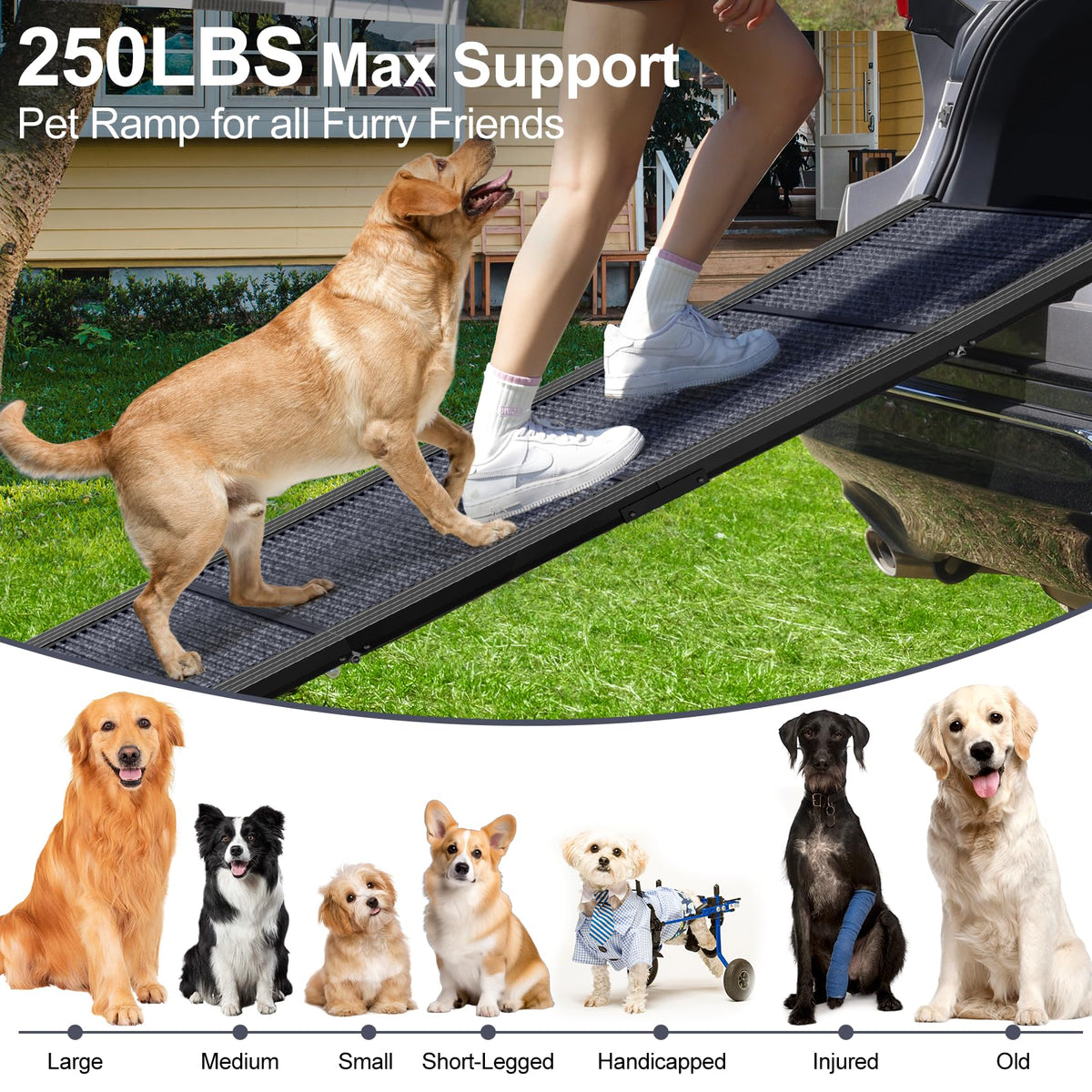63" L × 17" W Lightweight Foldable Dog Ramp N733