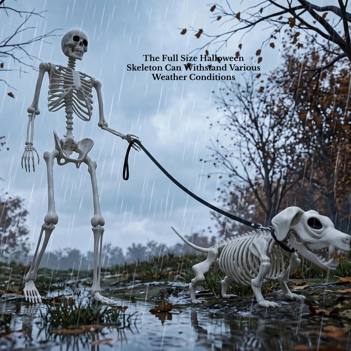 5.4FT Posable Skeleton G127