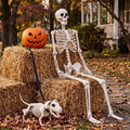 5.4FT Posable Skeleton G127